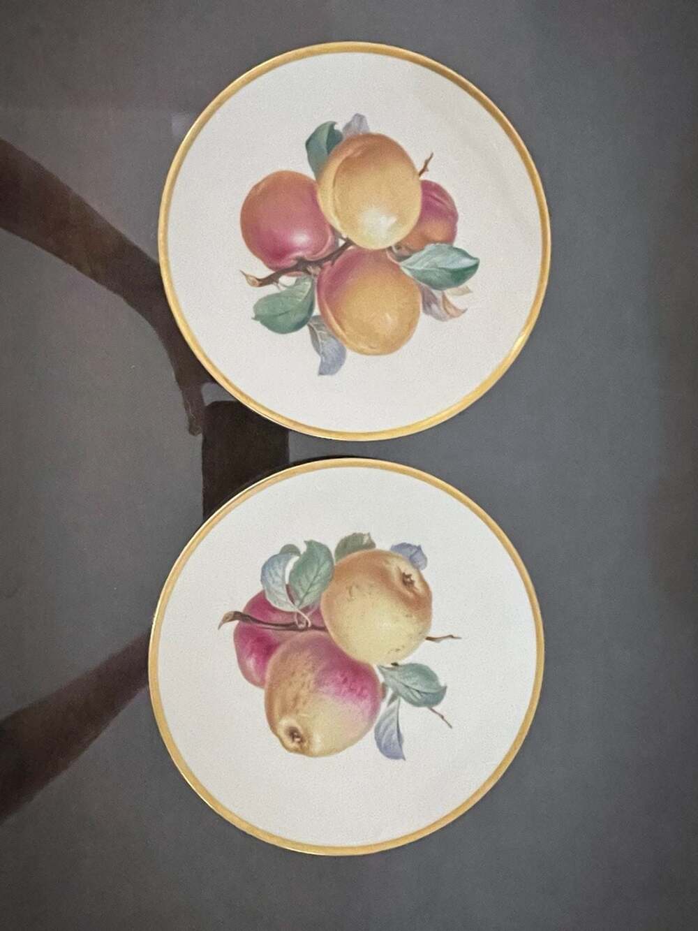 Vintage Rosenthal Germany AIDA Fruit Study Plates Gold Rim- Set of 2
